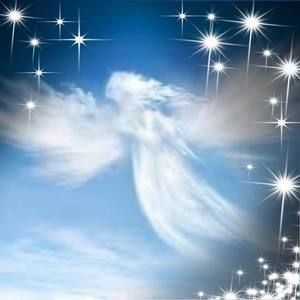 Meet your Posher, Jody